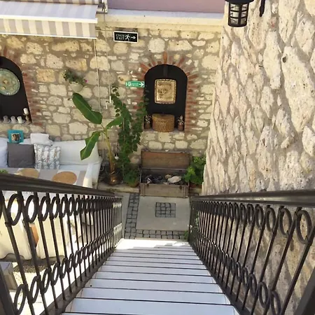 Simira アラカティ