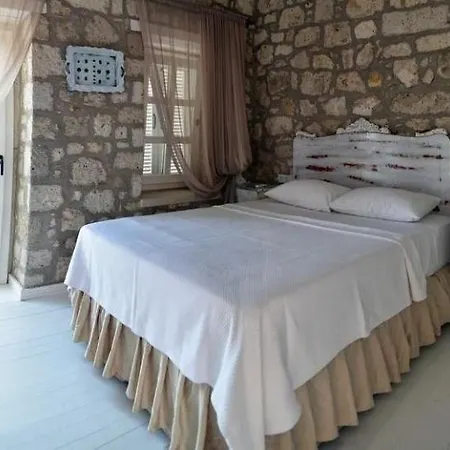 Simira